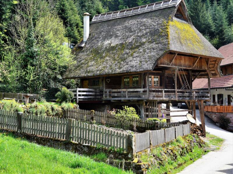 Ein traditionelles, strohgedecktes Bauernhaus steht umgeben von einem Holzzaun und üppig grünem Wald.