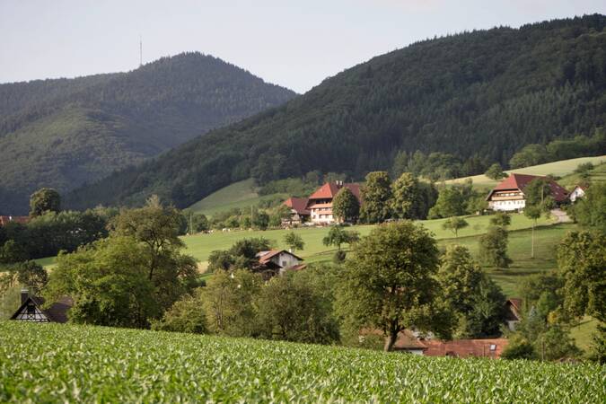 Eine malerische Landschaft mit grünen Hügeln, verstreuten Häusern mit roten Dächern und dichten Wäldern im Hintergrund.
