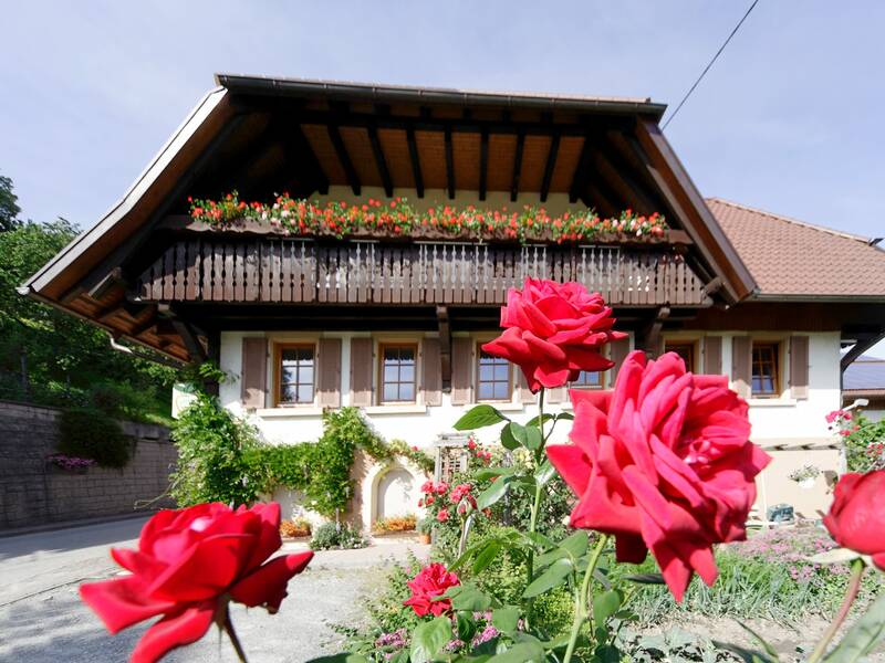 Ein traditionelles Haus mit Holzbalkon voller Blumen im Obergeschoss, umgeben von blühenden roten Rosen im Vordergrund.