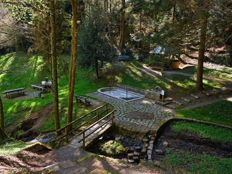Ein malerischer Waldpark mit einem kleinen Bach, einer Steinbrücke, einem Grillplatz mit Picknicktischen und einem hölzernen Pavillon, umgeben von üppigem Grün.