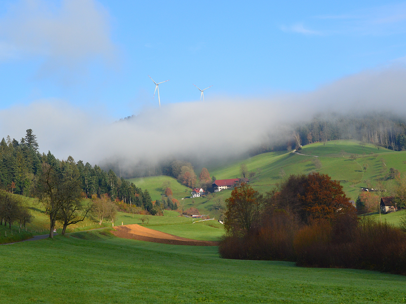 Ein ländliches Landschaftsbild zeigt grüne Hügel mit vereinzelt stehenden Bäumen, darüber Windräder und Nebel, der Wälder bedeckt.